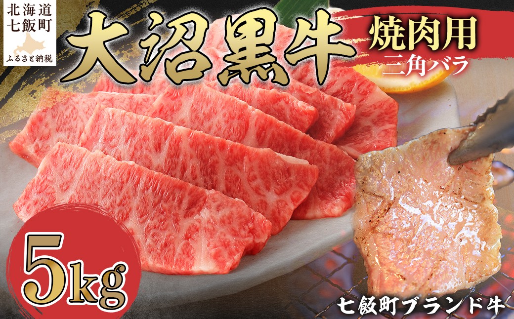 
                  【北海道ブランド牛】大沼黒牛焼き肉用（三角バラ5kg） 【ふるさと納税 人気 おすすめ ランキング 北海道ブランド牛 大沼黒牛 黒毛和牛 三角バラ 冷凍 焼肉 おいしい 北海道 七飯町】 NAM044
                