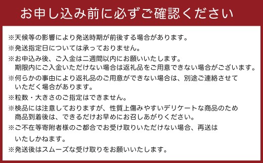 中尾農園の夢みるみかん はるか 3kg みかん ミカン 蜜柑 柑橘 フルーツ くだもの 果物 はるか 小玉 クレメンティン ビタミン豊富 国産 月の引力が見える町 さがみかん 太良みかん 夢見るみかん