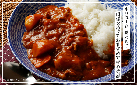 千葉産直情熱カレー10袋セット(中辛5個・辛口5個）レトルトポークカレー TMF007 / レトルトポークカレー カレー かれー curry ポークカレー レトルト レトルトポークカレー 10袋 セッ