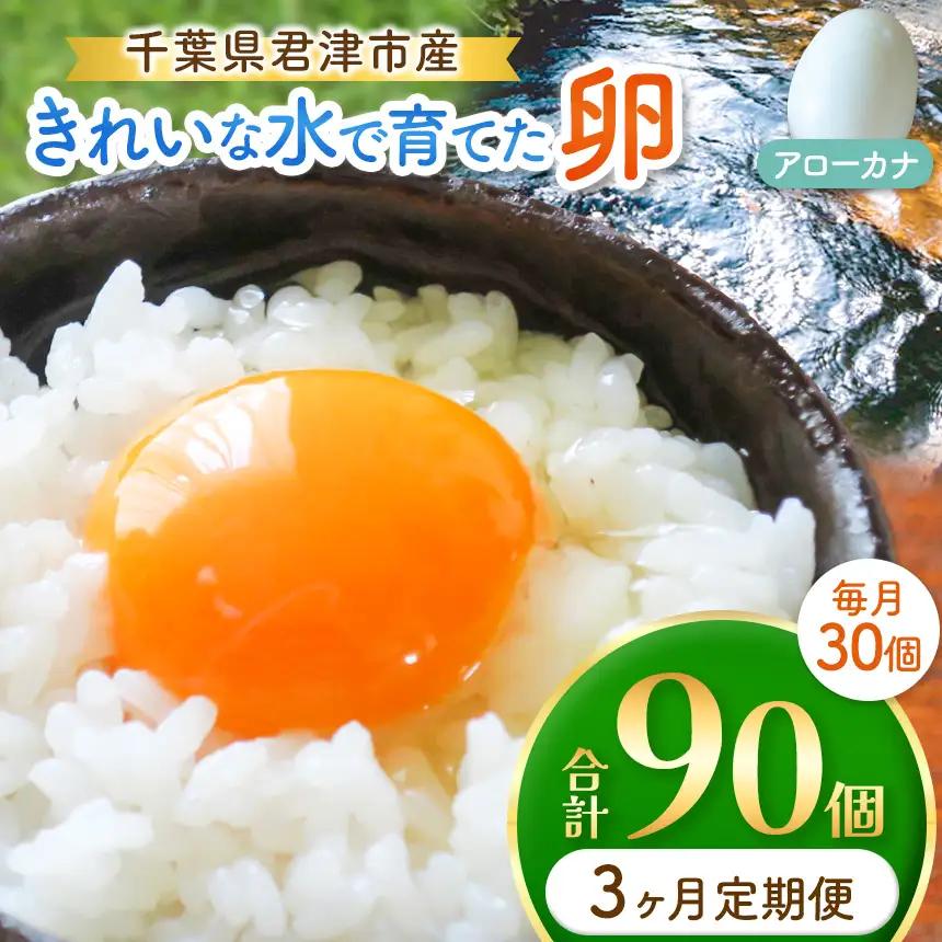【3回定期便】きれいな水で育てた卵 アローカナ 30個 
