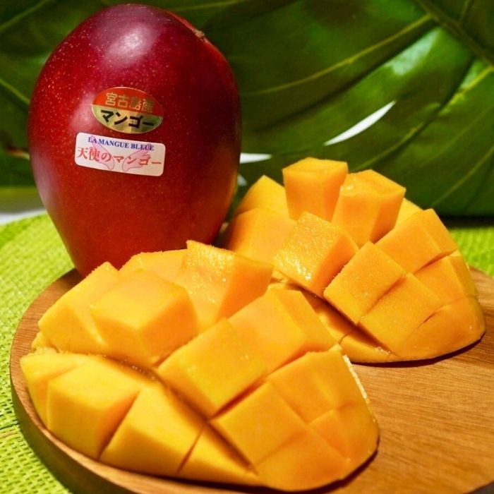 【ふるさと納税】『天使のマンゴー』宮古島産アーウィンマンゴー 約1kg （3玉）【ご贈答用】「LA MANGUE BLEUE」農家直送 | 天使のマンゴー 数量限定 糖度14度以上 完熟マンゴー 贈答 プレゼント ギフト 特産 ご当地 お取り寄せ 送料無料 宮古島 南国（GZ002）