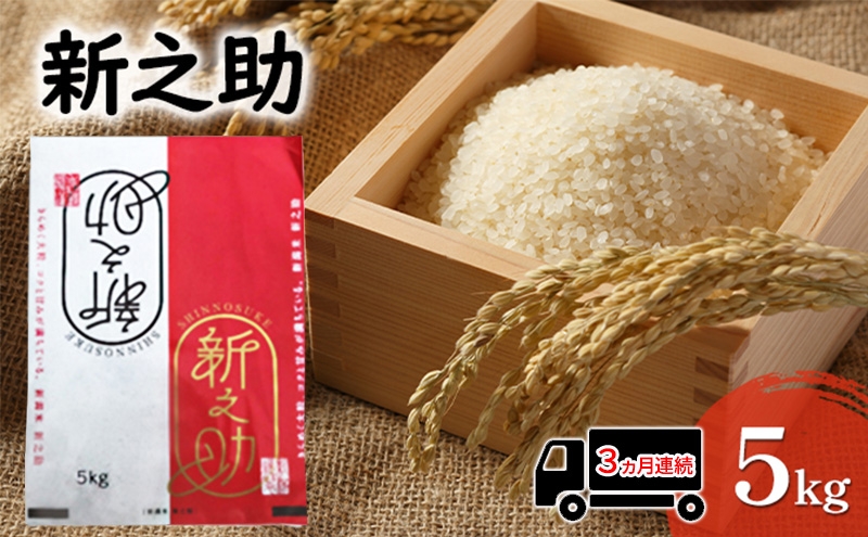 
                  【先行予約 3か月連続定期便】令和8年産米 新之助 5kg お米 精米新潟県田上町 [№5882-0410]
                