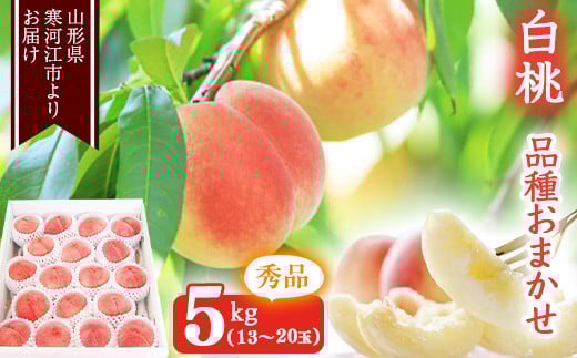 山形の白桃 秀品 5kg（13 - 20玉） 品種おまかせ 秀品 山形県産【2025年8月上旬頃から9月下旬頃発送予定】2025年産 令和7年産　022-B-MM013