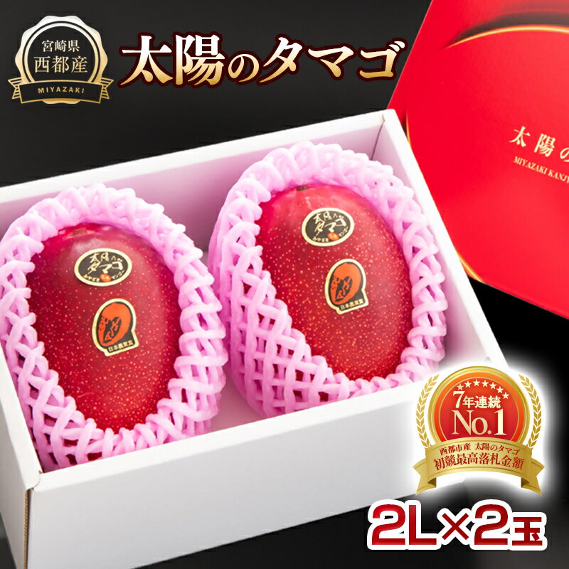 【ふるさと納税】西都市産 完熟マンゴー「太陽のタマゴ」2L×2玉 宮崎県 化粧箱入り 先行予約 数量限定＜2-94＞ 果物 フルーツ US