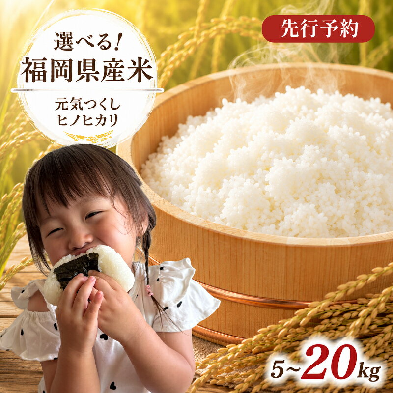 【ふるさと納税】 お米 令和8年産 ＜選べる品種&容量＞福岡県産 美味しいお米 元気つくし ヒノヒカリ 5kg～20kg 福岡県産米 白米 玄米 | 米 ブランド米 単一原料米 複数原料米 5kg 10kg 20kg 送料無料 福岡県 柳川市