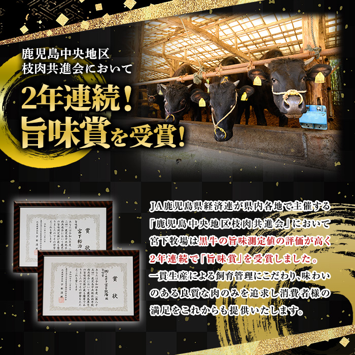 No.419 薩摩和牛のすきしゃぶセット(合計700g・肩ローススライス300g、モモもしくはカタスライス400g)国産 牛肉 スライス 数量限定 すき焼き しゃぶしゃぶ セット 冷凍【さつま屋産業】