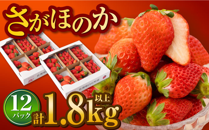 【先行予約】白石産いちご さがほのか 約150g×12パック（計1800g以上） [IAA038]