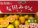 【ふるさと納税】【ちょっと傷あり】極早生・有田みかん 約5kg(SまたはSSサイズ)【ミカン 蜜柑 柑橘 温州みかん 和歌山 有田 訳あり】