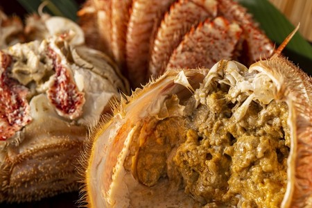 網走産 毛がに1.32kg前後（660g前後×2尾） ABW107