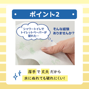 トイレットペーパー 定期便 年2回 6ヶ月後のお届け エリエール シャワートイレのためにつくった吸水力が2倍のトイレットペーパー 12ロール 6個 セット トイレ ペーパー 日用品 消耗品 2回 お楽