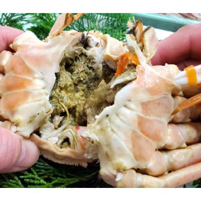 ふるさと納税 新温泉町 松葉ガニの本場より活〆茹でたてを即出荷　釜茹で松葉ガニ(冷蔵)　1枚　約1kg |  | 01
