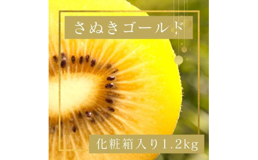 さぬきゴールド キウイフルーツ 1.2kg化粧箱入り【予約受付中！令和8年10月中旬頃より発送！】【A-113】