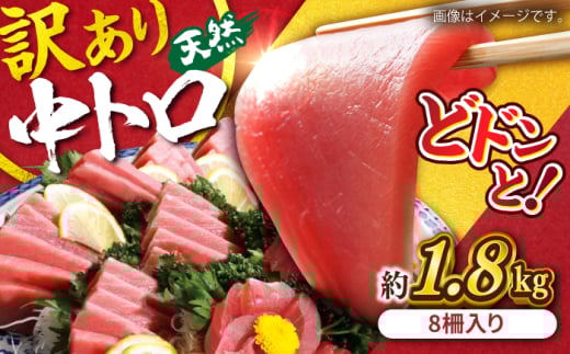 【訳あり】天然 まぐろ 中トロ  メバチ 計約1.8kg (8柵入り) 鮪 マグロ 魚 刺身 まぐろ 横須賀【横須賀商工会議所 おもてなしギフト事務局（本まぐろ直売所）】 [AKAK011]