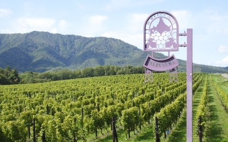 鶴沼収穫ワイン 【 ゲヴュルツトラミネール 】 白ワイン3本セット アルコール11.5％~12.5％ ライチ 白桃 柑橘 スパイス 酸味 お酒 酒 洋酒 アルコール 白ワイン 国産 北海道産 ぶどう 