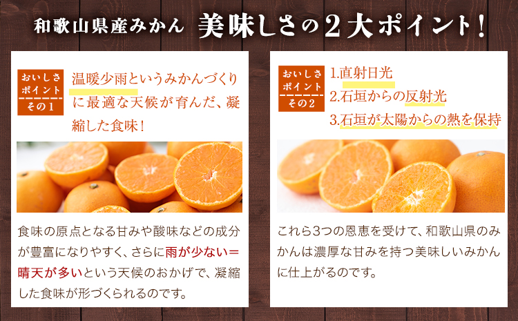  【訳あり/ご家庭用】 先行予約 和歌山県産みかん 約5kg【サイズ混合】 サンファーム《10月上旬-1月下旬頃出荷》和歌山県 紀の川市 みかん ミカン 柑橘 果肉
