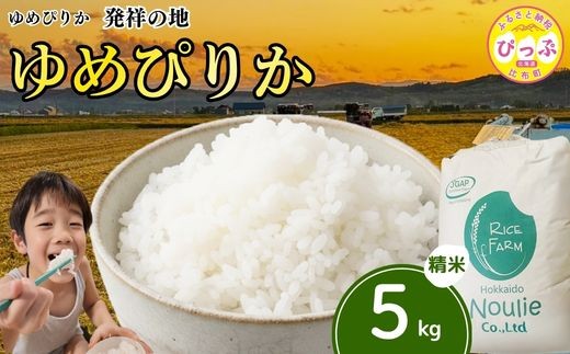 
            令和7年産 ゆめぴりか 精米 5kg 発送時期が選べる【農業生産法人ノウリエ】米 お米 北海道米 特Aランク 国産 白米 コメ 北海道 比布町 ぴっぷ 1017-005
          