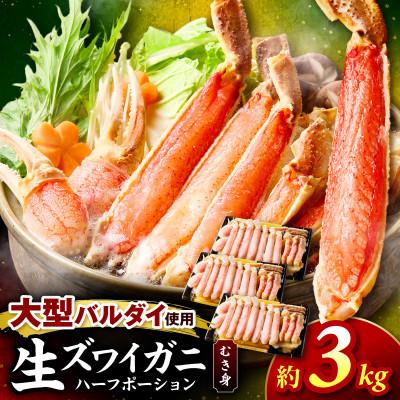 ふるさと納税 泉南市 □生本ズワイガニ ハーフポーション 大型バルダイ使用 約3kg(総重量4.5kg)ふるさと納税3.0