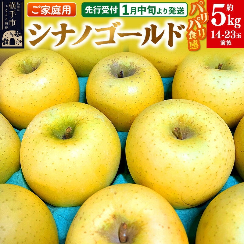【ふるさと納税】パリパリ食感シナノゴールド ご家庭用 約5kg（14～23玉前後）
