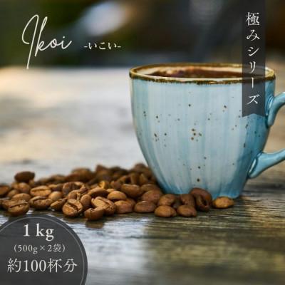 ふるさと納税 守口市 ゴールド珈琲　極みシリーズ　いこい　500g×2(豆)