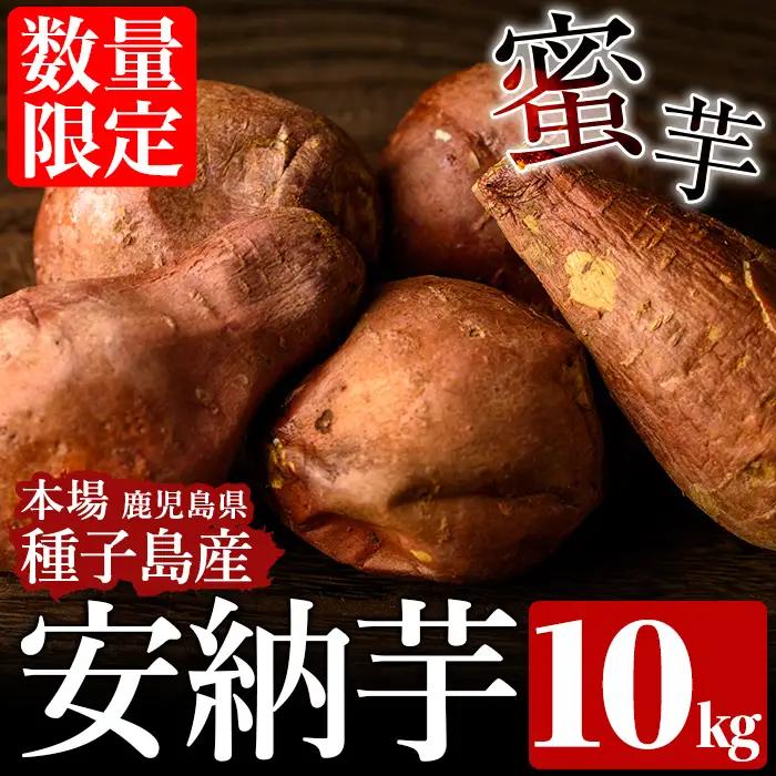 安納芋 さつまいも 10kg 【種子島安納株式会社】n080