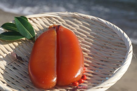 本 からすみ 100g以上 釜揚げ しらす 1kg 便利 小分けパック 100g×10パック セット 詰め合わせ 宮進商店謹製 国産 高級珍味 無添加 産地直送 高知県 須崎市