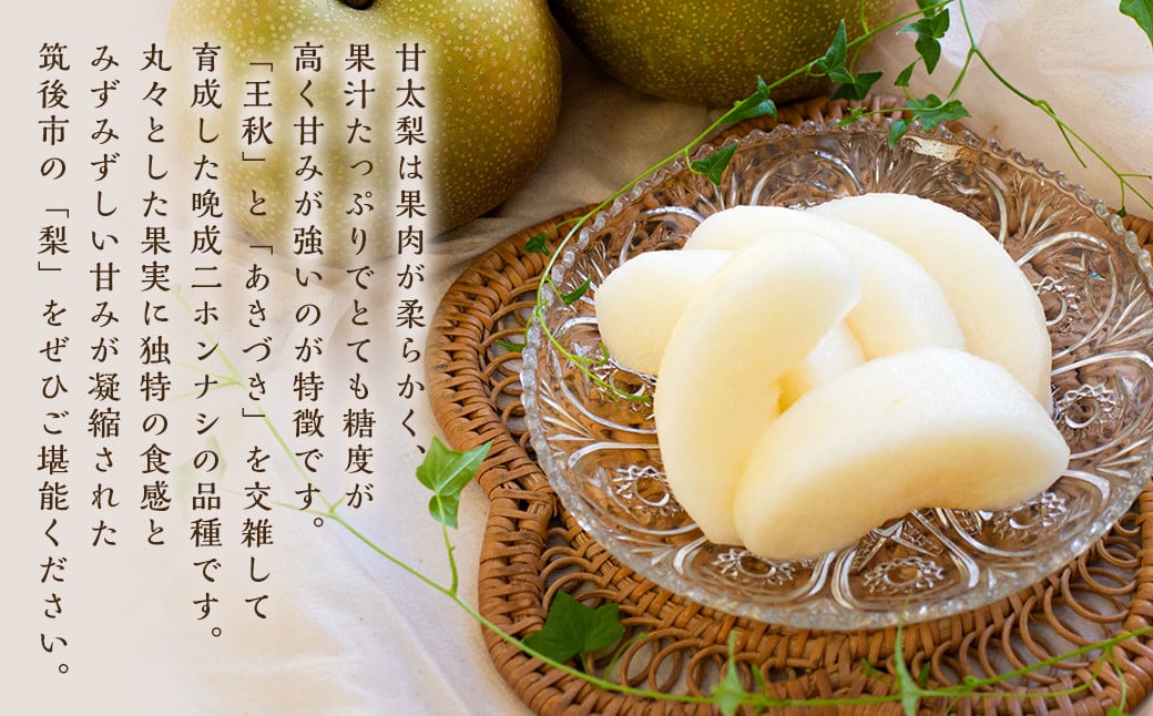 甘太梨 9玉～12玉 約5kg 梨 ナシ 果物 フルーツ 福岡県産