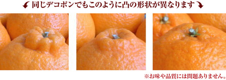 デコ不知火（デコポン） 約2.8kg/サイズおまかせ　※2026年2月上旬～2026年4月上旬頃に順次発送予定(お届け日指定不可)　紀伊国屋文左衛門本舗　【ntb421C】