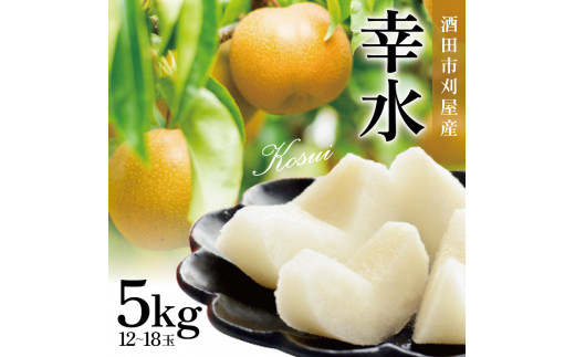 刈屋梨　幸水　約5kg(12～18玉入) SB0931