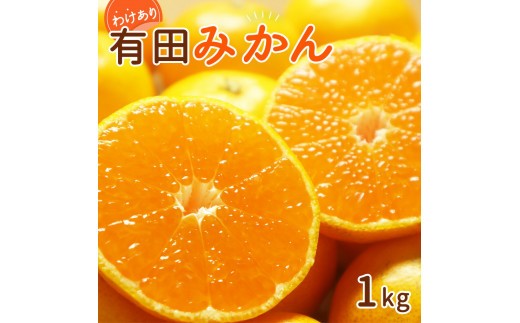 
                  【2026年先行予約】和歌山県産 有田みかん 約1kg 【訳あり 家庭用】 (サイズおまかせ)_DI6060
                