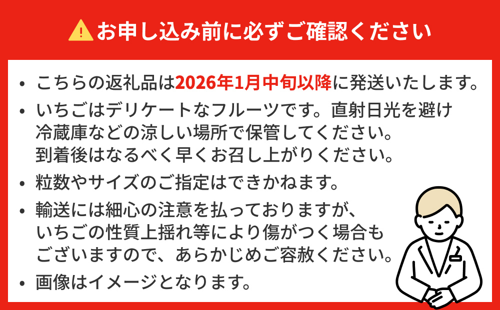 【2026年1月中旬発送開始】 いちご ちおとめ 恋みのり にこ