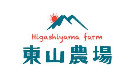 【先行予約】【大玉】とろける舌触り！東山農場産キングメロン 1玉