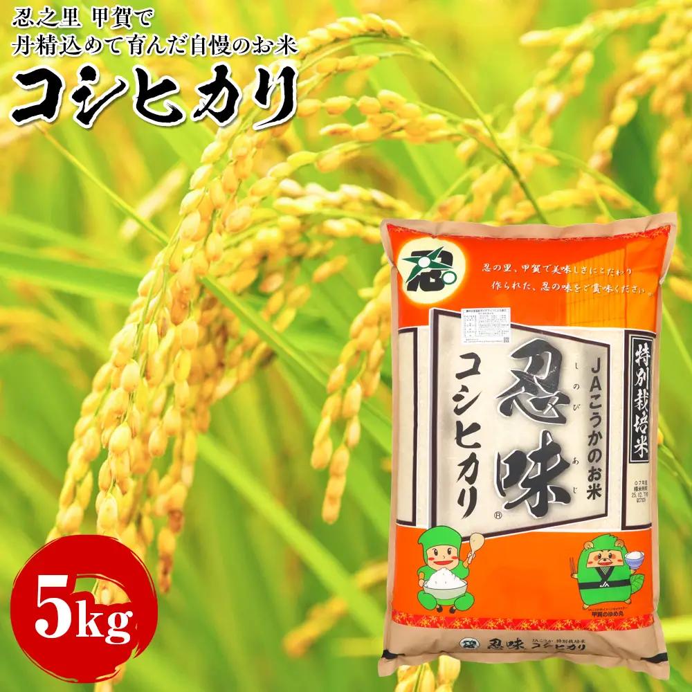 コシヒカリ 5kg 甲賀で丹精込めて育んだ自慢のお米