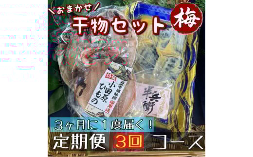 【3ヶ月に1回定期便3回】厳選！小田原の旬の干物セット 梅【 まぐろや 神奈川県小田原市 】