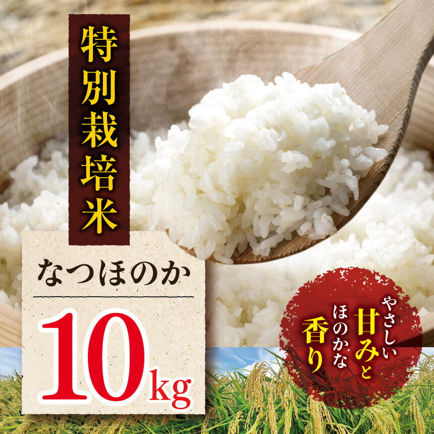 【ふるさと納税】特別栽培米 なつほのか 10kg | お米 米 精米 白米 おこめ こめ ご飯 ごはん 国産米 10キロ 大分県産 九州産 大分県 中津市