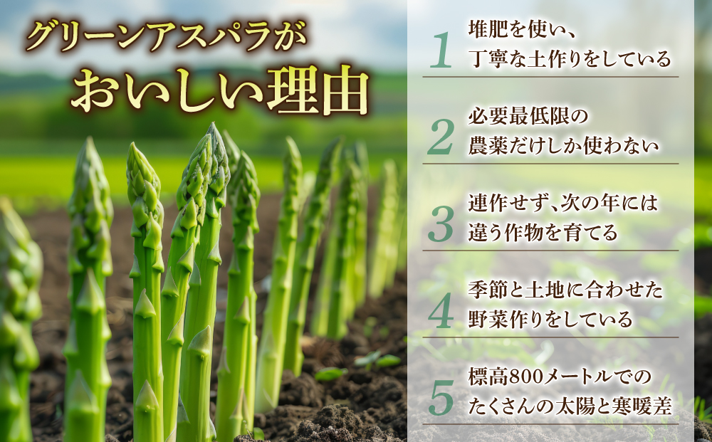 先行受付【里山JAPAN】甘くて柔らか 生きた土壌で育った『春・夏グリーンアスパラ』各1kg（2回定期便）｜長野県 ※2025年春・夏発送
