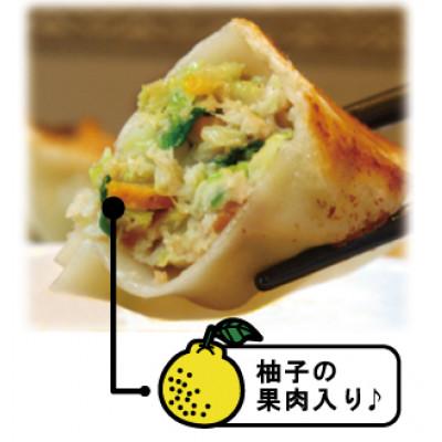 ふるさと納税 吹田市 2種類の自家製手作り冷凍生餃子『ゆず餃子&プレーン餃子　各50個入り』セット |  | 01