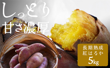 【先行受付】【5回お届け!】都城産 長期熟成紅はるか 5kg 定期便≪2025年10月下旬頃より順次お届け≫_TAA5-I201-10_(都城市) 都城産 さつまいも 熟成紅はるか 秀品 5kg サイ