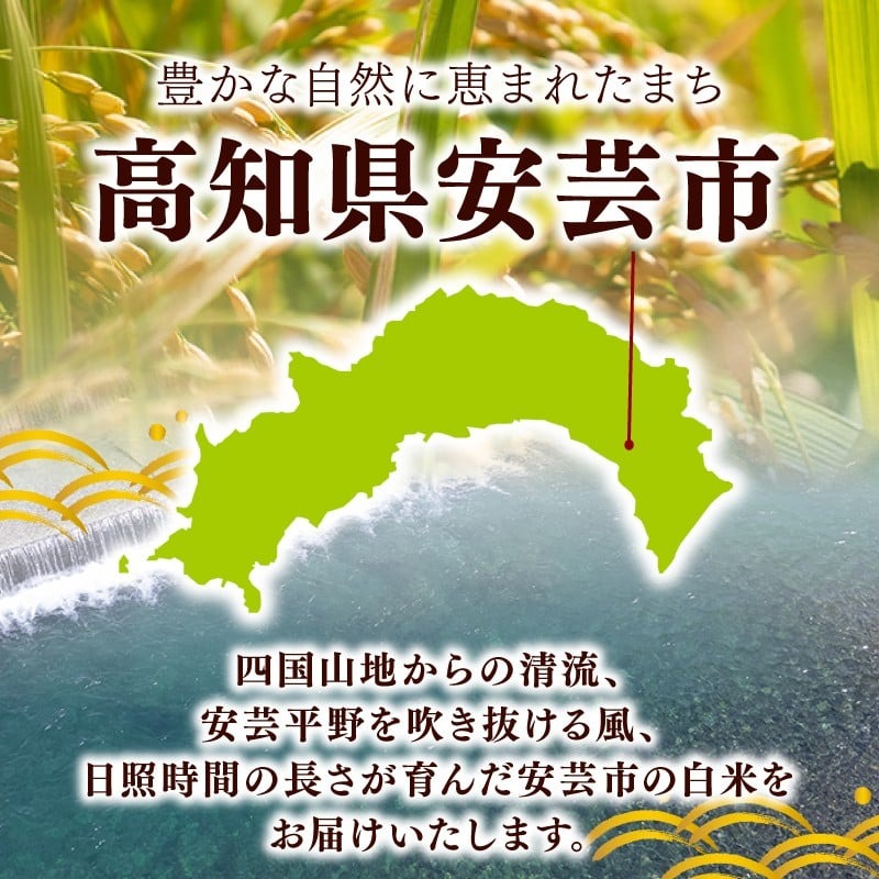 【令和8年産】 米 にこまる 5kg お米 白米 精米 ごはん ご飯 高知県産 弁当 おにぎり 料理 高知県安芸市 超早場米 粒ぞろい ふっくら 粘り 食味 四国 山地 清流 安芸平野 日照時間 風 
