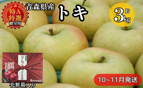 【青森県産りんご】化粧箱入り贈答用トキ 約3kg 果物 フルーツ デザート 食後 おやつ 国産 強い甘味 やさしい酸味 果汁豊富 シャキシャキ 青森りんご