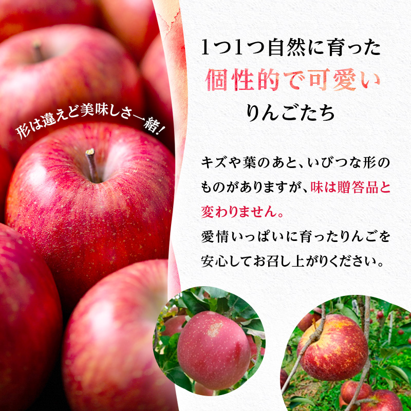 りんご 信州上田産 サンふじ 家庭用 約3kg 8～9個 林檎 リン