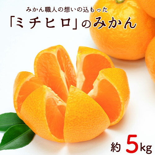【ふるさと納税】【先行予約】秋 旬 フルーツ みかん ぎょくだん『ミチヒロ』のみかん 約5kg(サイズおまかせ) 予約受付中 フルーツ 秋 旬 熊本県玉名郡玉東町『熊本・玉東、玉東町段々畑男子団。』みかん ぷらっとぎょくとう《10月下旬-1月下旬出荷》