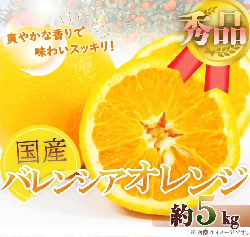 秀品 希少な国産バレンシアオレンジ 5kg［2026年6月下旬頃～2026年7月上旬頃に順次発送］［UT76］