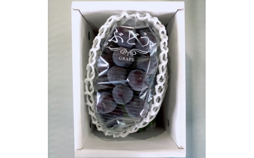 08-11-001　ぶどう（種なしピオーネ）600g