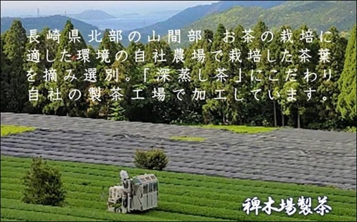 松浦茶セット(特上100g×1　高級100g×1)【A8-007】 松浦茶 深蒸し茶 ミネラル お茶 緑茶