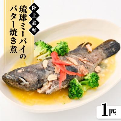 ふるさと納税 中城村 陸上養殖 琉球ミーバイのバター焼き煮 1匹