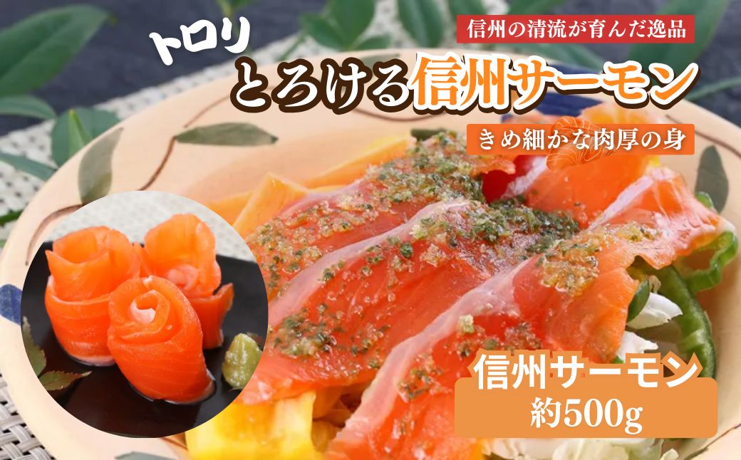 サーモン トロリとろける信州サーモン（虹鱒×ブラウントラウト）生食用約500g 刺身 冷凍 国産 スライス ホイル焼き 長野県 山ノ内町