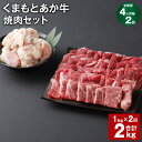 【ふるさと納税】【定期便】【4ヶ月毎2回】くまもとあか牛 焼肉セット 計2kg（1kg×2回） もも焼肉 700g ホルモン 300g 和牛 牛肉 お肉 あか牛 赤身 霜降り BBQ モモ肉 もつ モツ グルメ お取り寄せ 冷凍 熊本県産 国産 熊本県 上天草市 送料無料