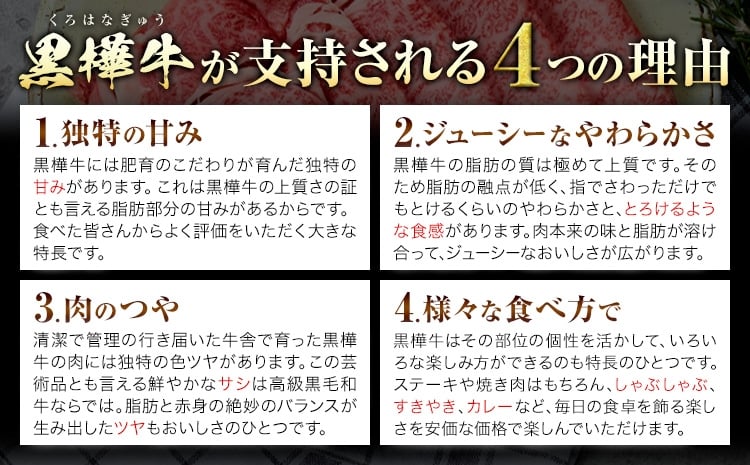 くまもと黒毛和牛 杉本本店 黒樺牛 A4~A5等級 肉厚サーロインステーキ 300g