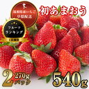 【ふるさと納税】【数量100件限定】福岡県産 初あまおう 540g (270g平パック×2パック) TY001-1【福岡県 須恵町】