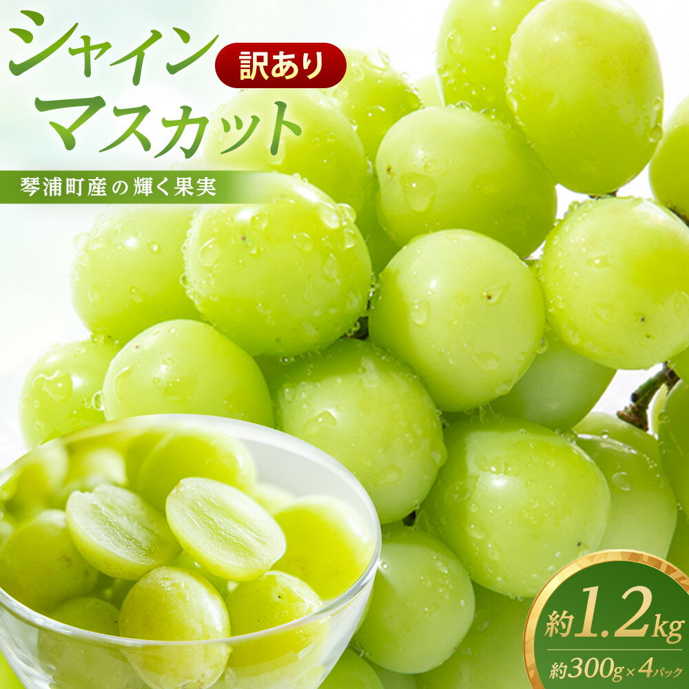 【ふるさと納税】琴浦町産シャインマスカット（粒パック）1.2kg 先行予約 訳あり | フルーツ 果物 くだもの 食品 人気 おすすめ 送料無料